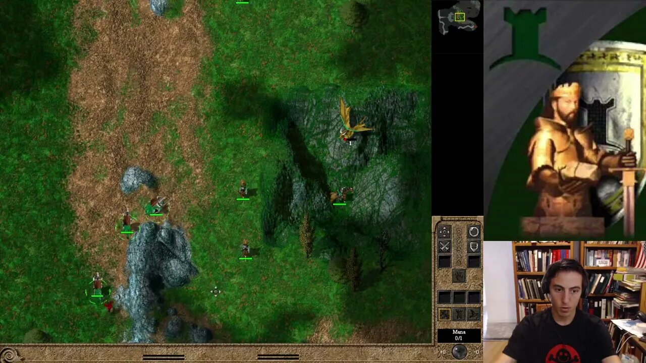 TA Kingdoms Campaign Ch 39: Splendorous Wings (No Pause, +10 Speed, No Saves)