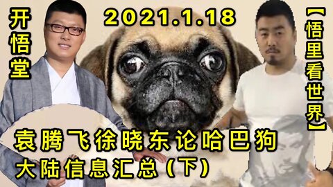 KWT891袁腾飞徐晓东论哈巴狗-大陆信息汇总(下) 20210118-8【悟里看世界】