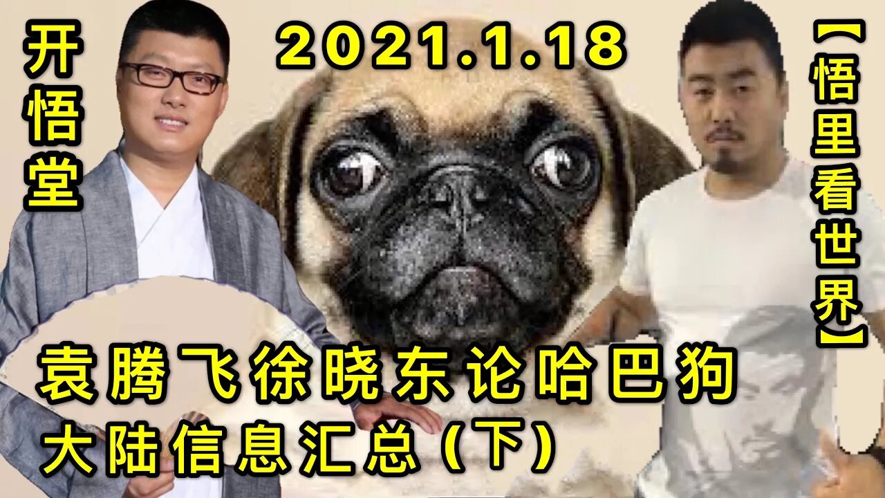 KWT891袁腾飞徐晓东论哈巴狗-大陆信息汇总(下) 20210118-8【悟里看世界】