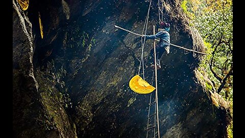 The most expensive and dangerous honey in the world