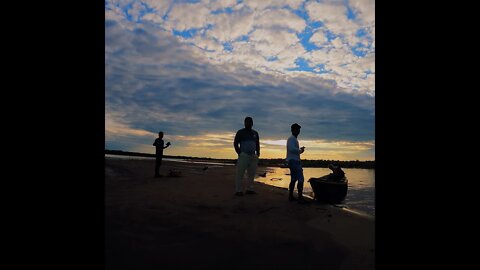 Nature Horizons - Amazon Rainforest # 8