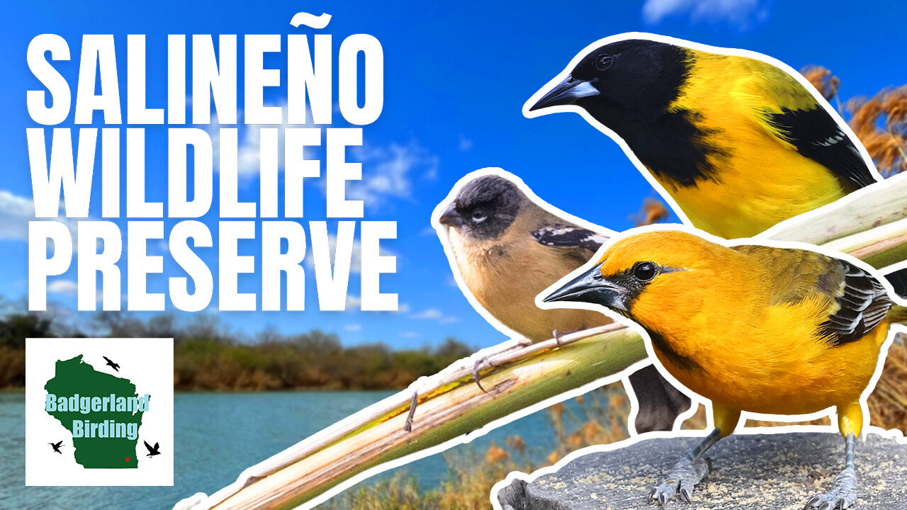 Birding Salineño Wildlife Preserve in South Texas!