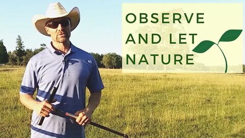 Observe and Let Nature