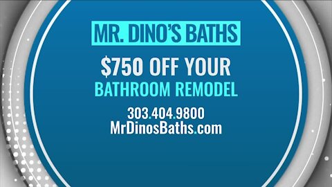 Professional Remodeling // Mr. Dino's Baths