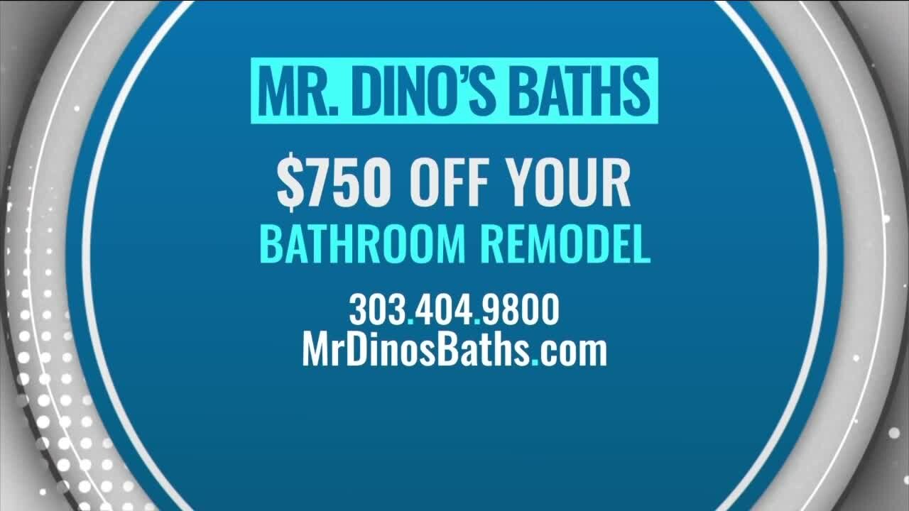Professional Remodeling // Mr. Dino's Baths
