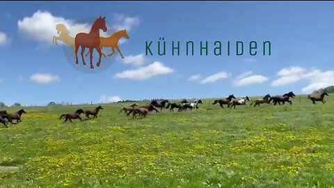 Kühnhaiden