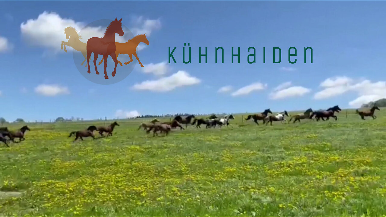 Kühnhaiden