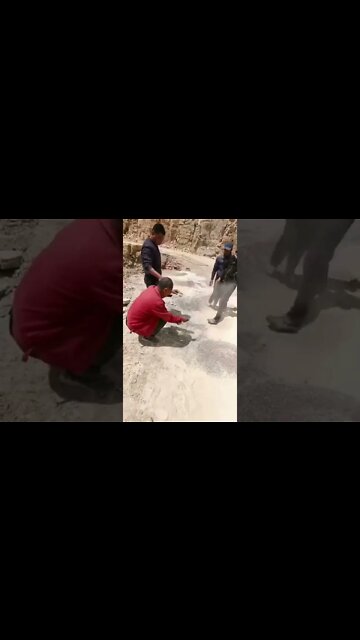 #shorts #2022 funny,prank,funjokes,dad jokes,funny memes,funny video,fun,laughing,funny animal,knock