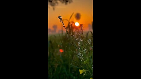 nature vlogging is ossam.😍😍😍.