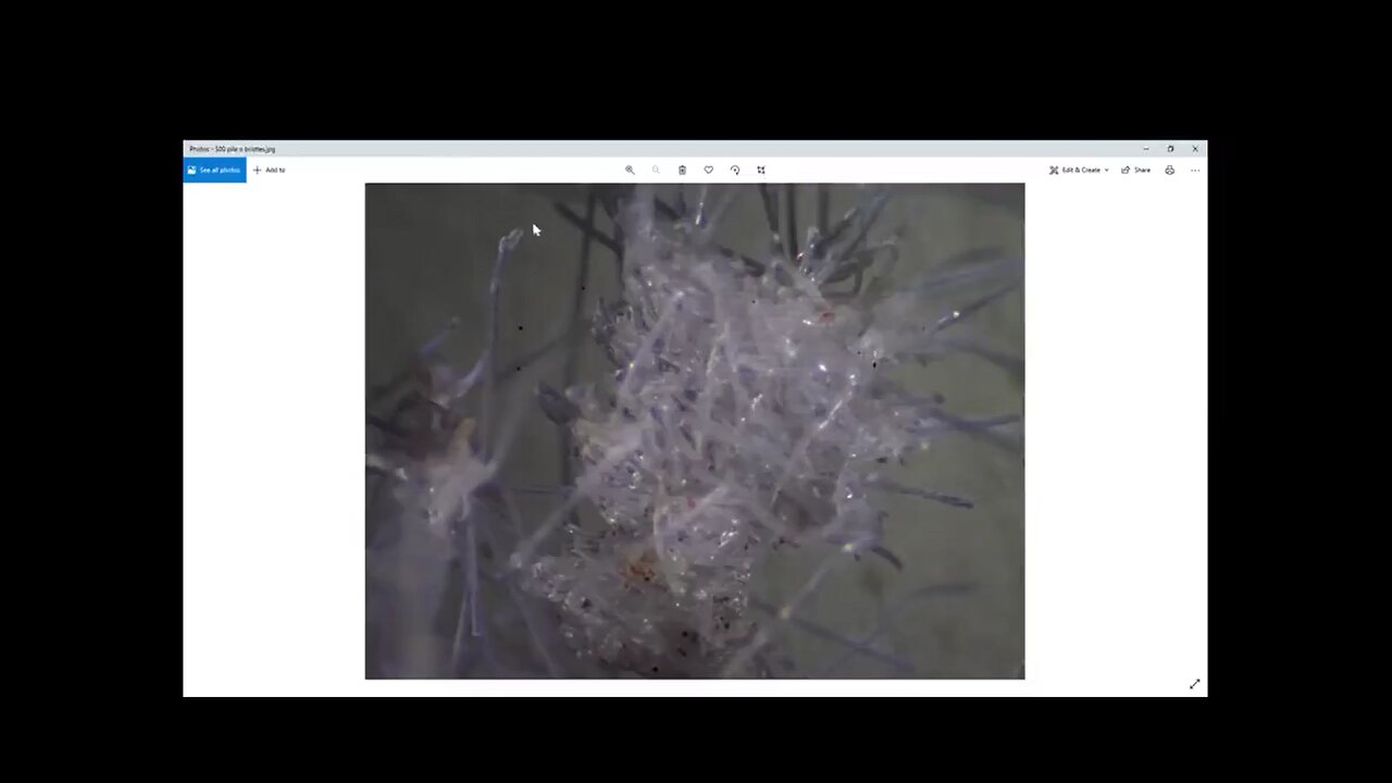 Microneedle patch is covid test swabs - test swabs under microscope - 12-6-21