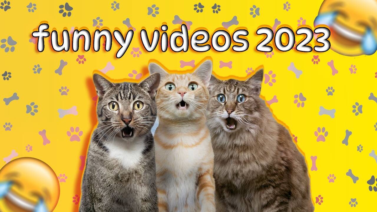 Funniest Animal Moments 2023 😂 😸