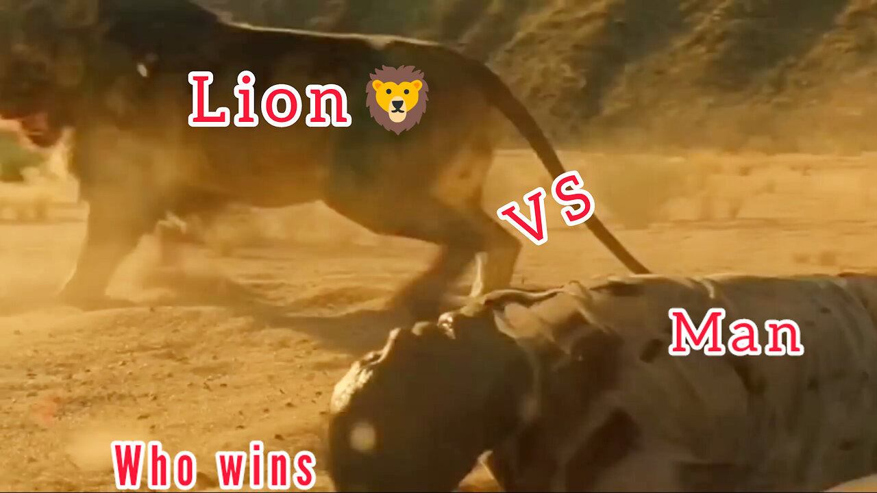 Lion Vs Human who will win| best fight scene ever