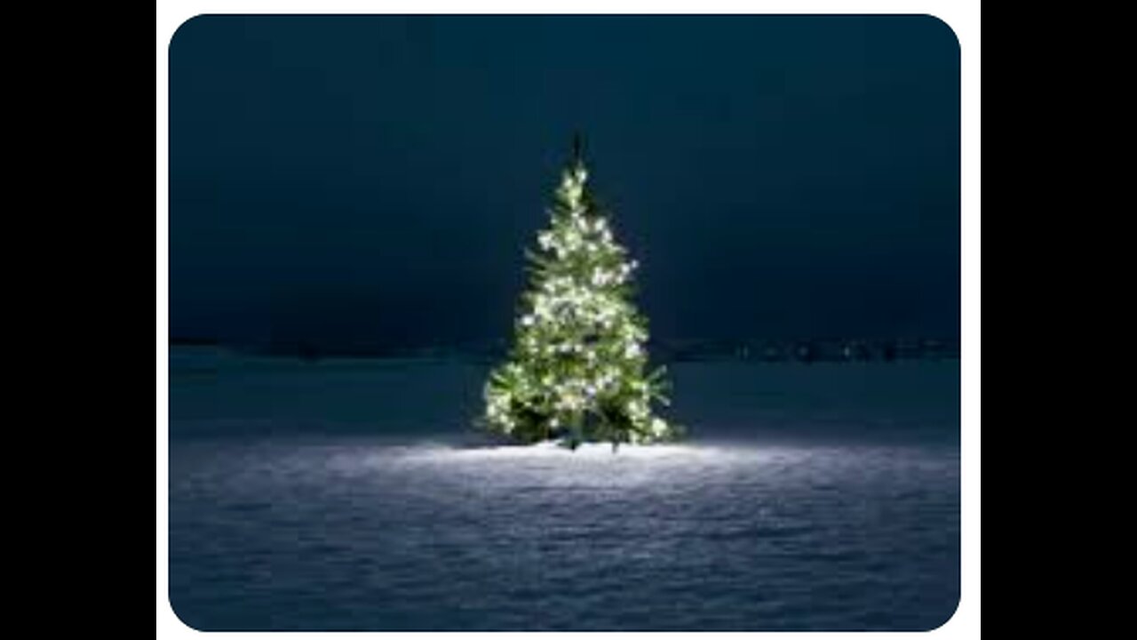 CHRISTMAS TREES - RENT A REAL, LIVE, GROWING TREE THAT GETS PLANTED FOR GOOD AT MATURITY HEIGHT