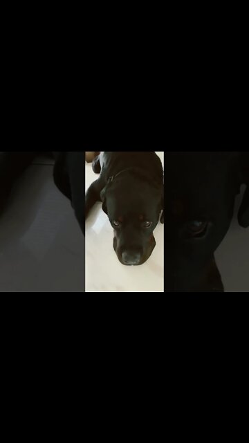 Don’t worry, take a knappy… 🥱