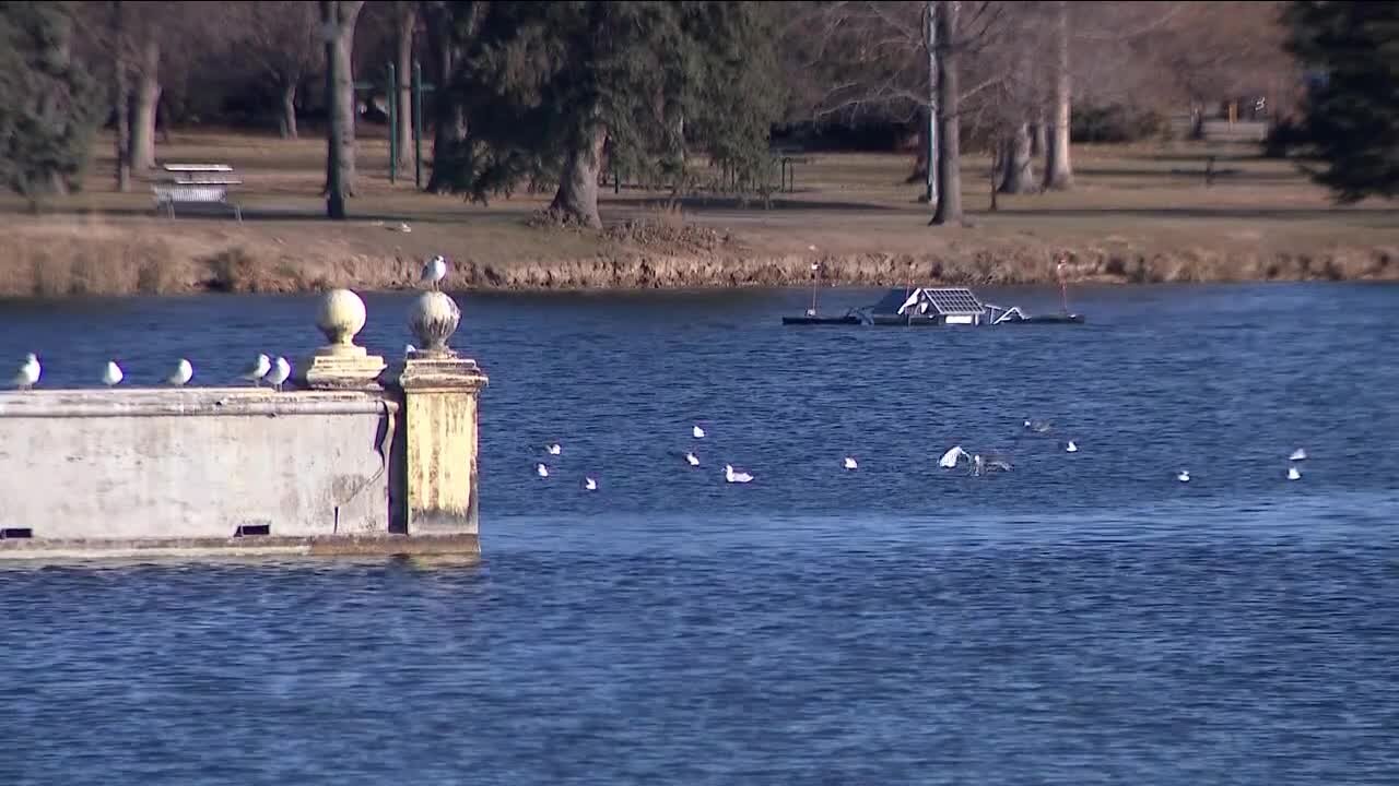 Denver auditor says city not doing enough to keep parks safe