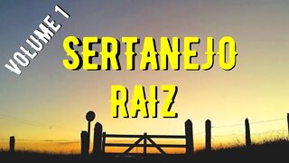 SERTANEJO RAIZ 👍🏻 VOLUME 1