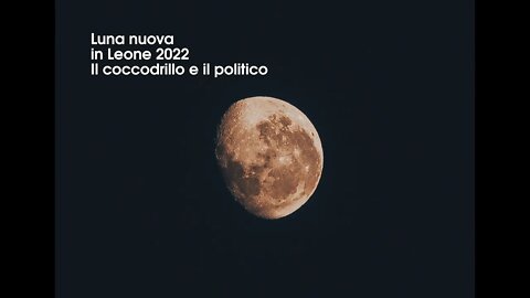 Luna nuova in Leone 2022 - Il coccodrillo e il politico