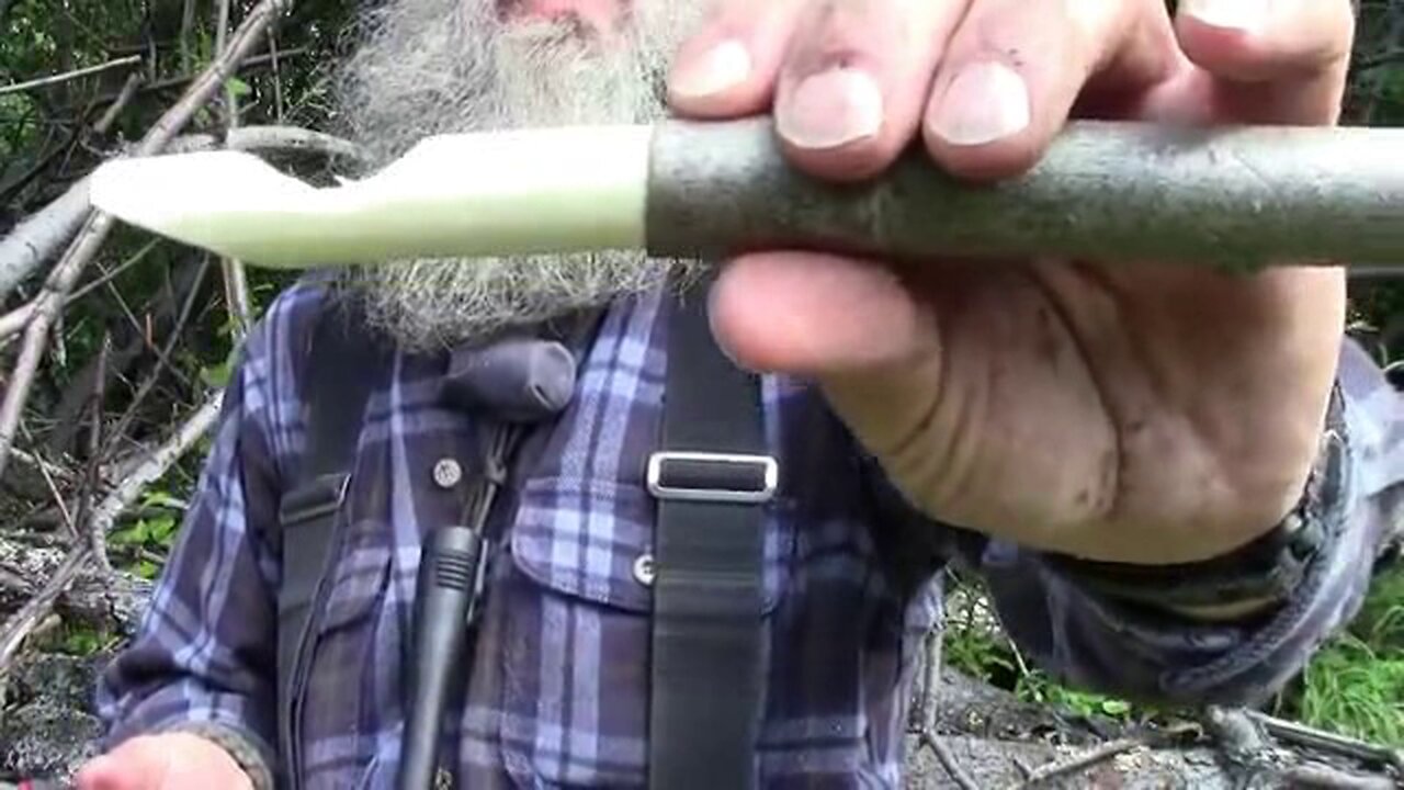 PRIMITIVE SURVIVAL, Willow Whistle, Both A Survival Tool or Toy