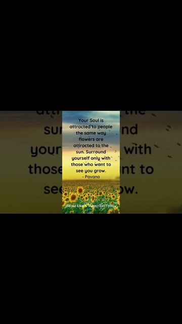 Surround Yourself with Those