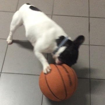 Big Ball or Small Mouth??? Maybe a bit of both...