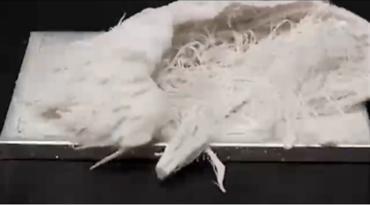 Aluminium reacting with Mercury. Don’t Inject This Into Your Children
