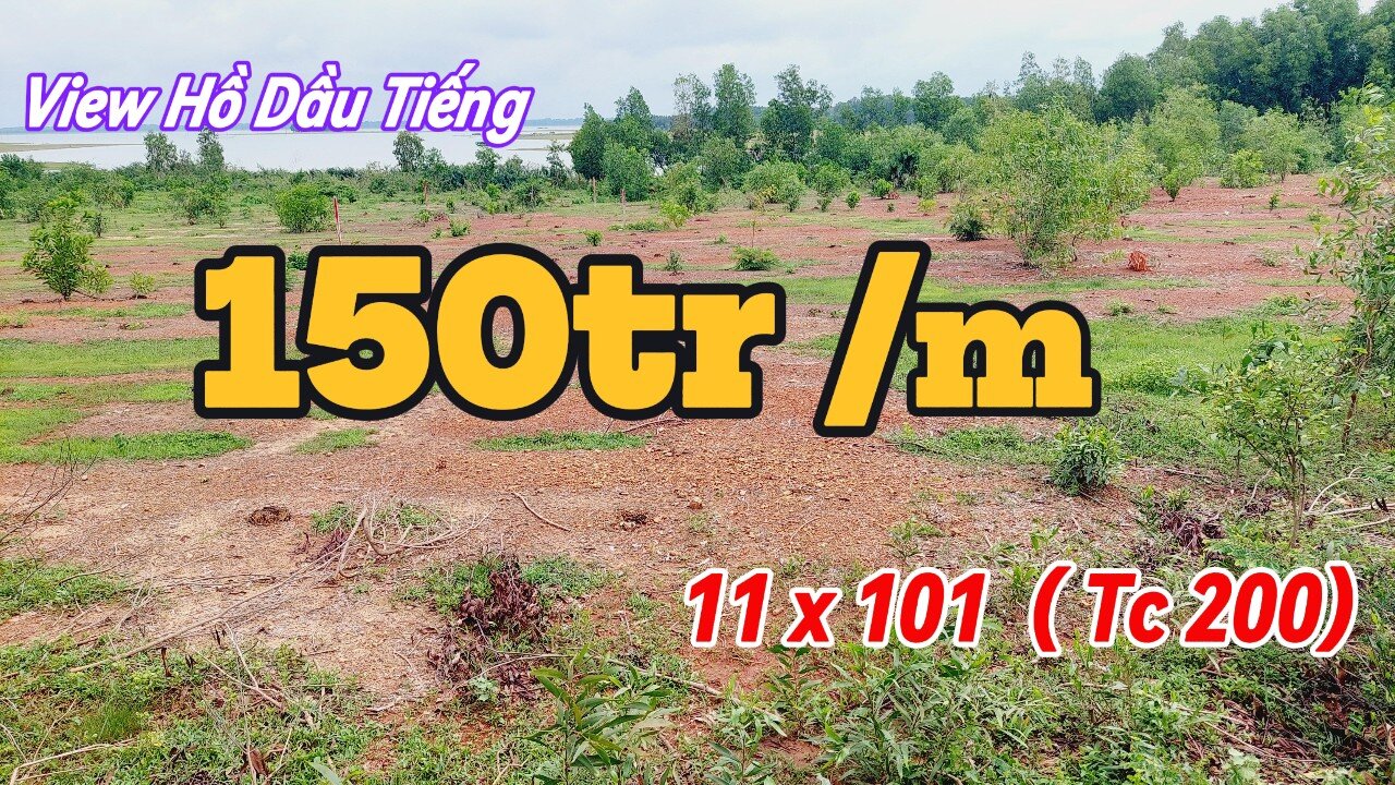 Đất Dầu Tiếng | bán nhanh lô đất - View hồ dầu Tiếng 11 x 101 ( tc 200) giá rẽ #563