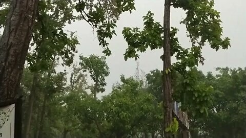 WORLDCOMM RAIN VIDEO. #RAIN VIDEO# RELAXATION #