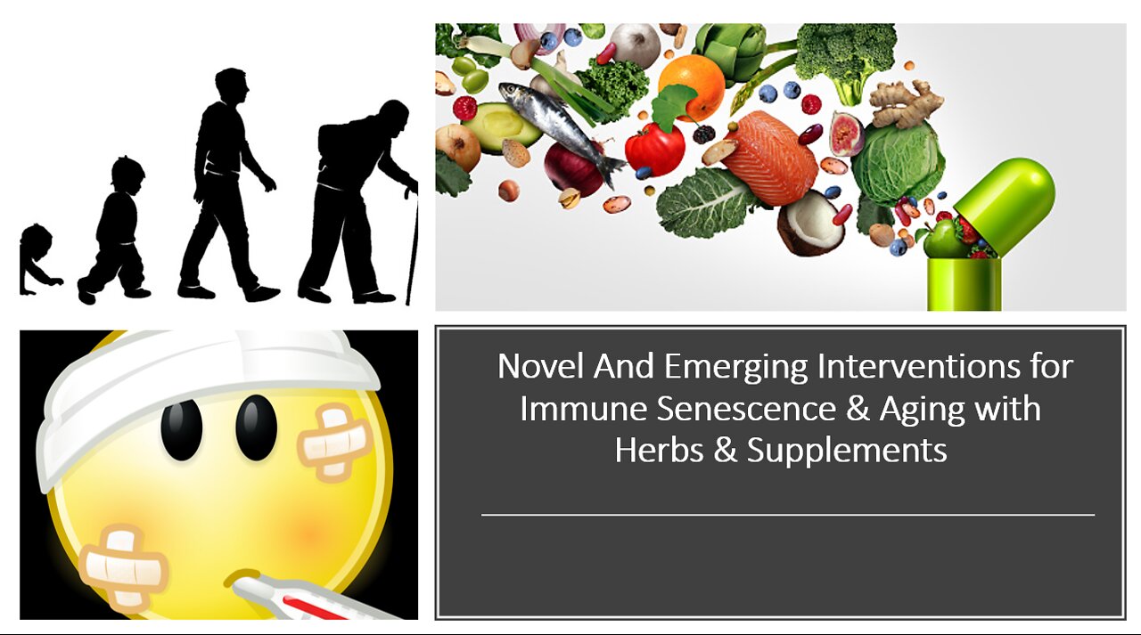 Immune Senescence & Aging - Herbal & Supplement Support