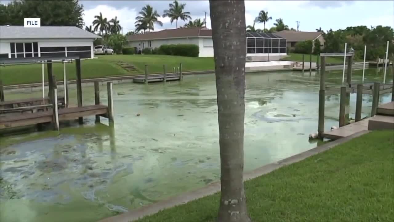 Lake Okeechobee Blue-Green Algae Outbreak Forecasted in Coming Months