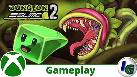 Dungeon Slime Collection Gameplay on Xbox Series X