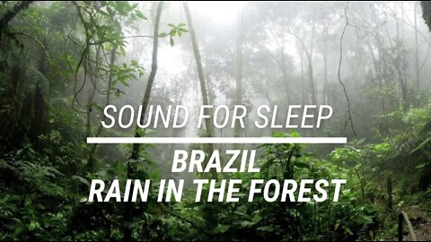Sound for sleep Rain in the Brazilian Forest 3 hours