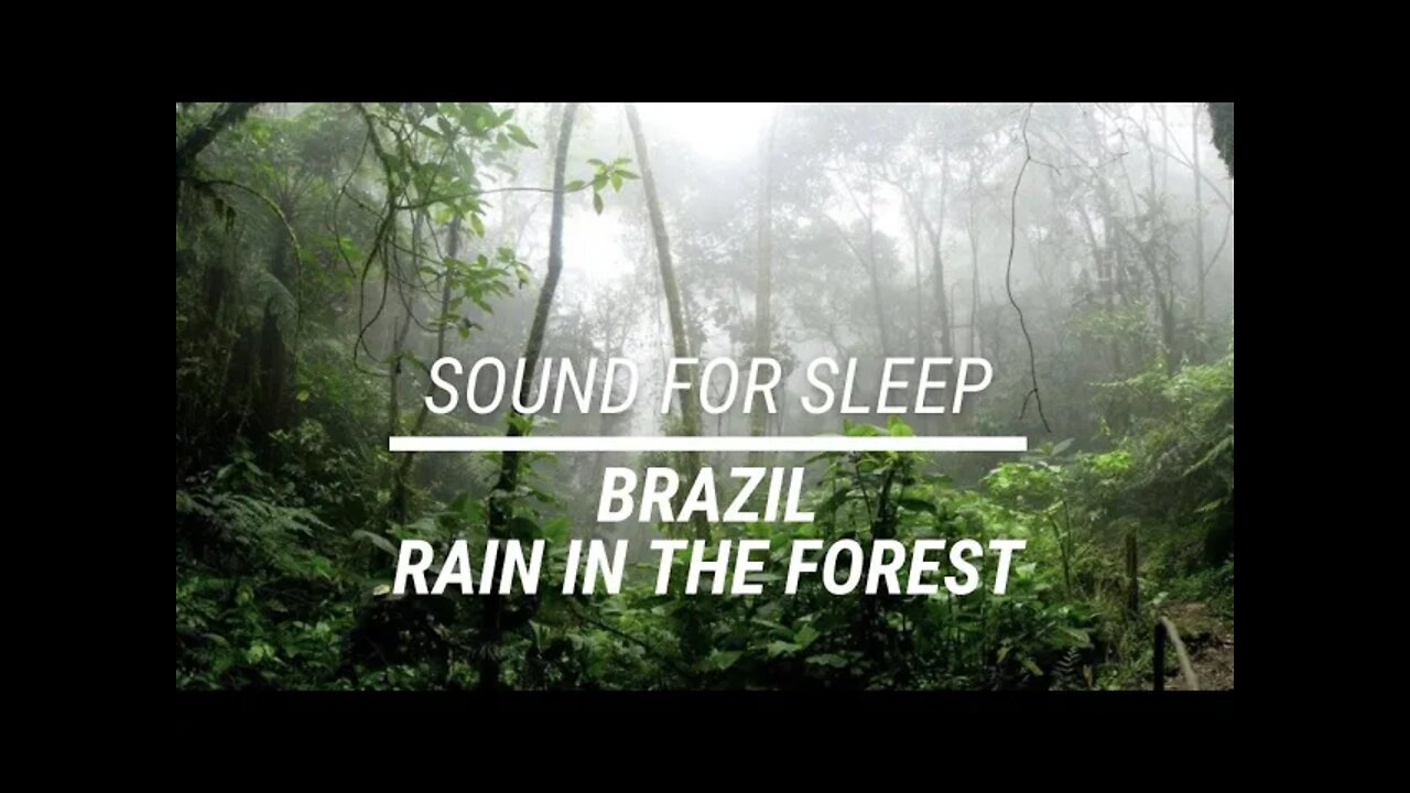 Sound for sleep Rain in the Brazilian Forest 3 hours
