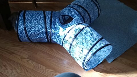 J Litter - ready to go(2)