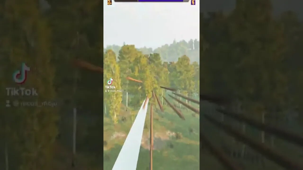 Mount & Blade II: Bannerlord Mods TikTok Gaming PC Clips 2022 134.1K Followers 3.4M Likes 100M Views