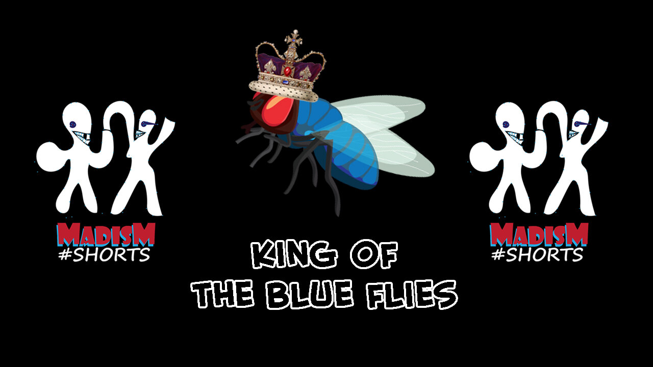 King of the blue flies - Harlem Shake