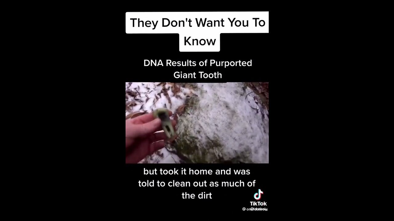 Giant human tooth was found. DNA analysis and the object was found to be a tooth of a giant human.