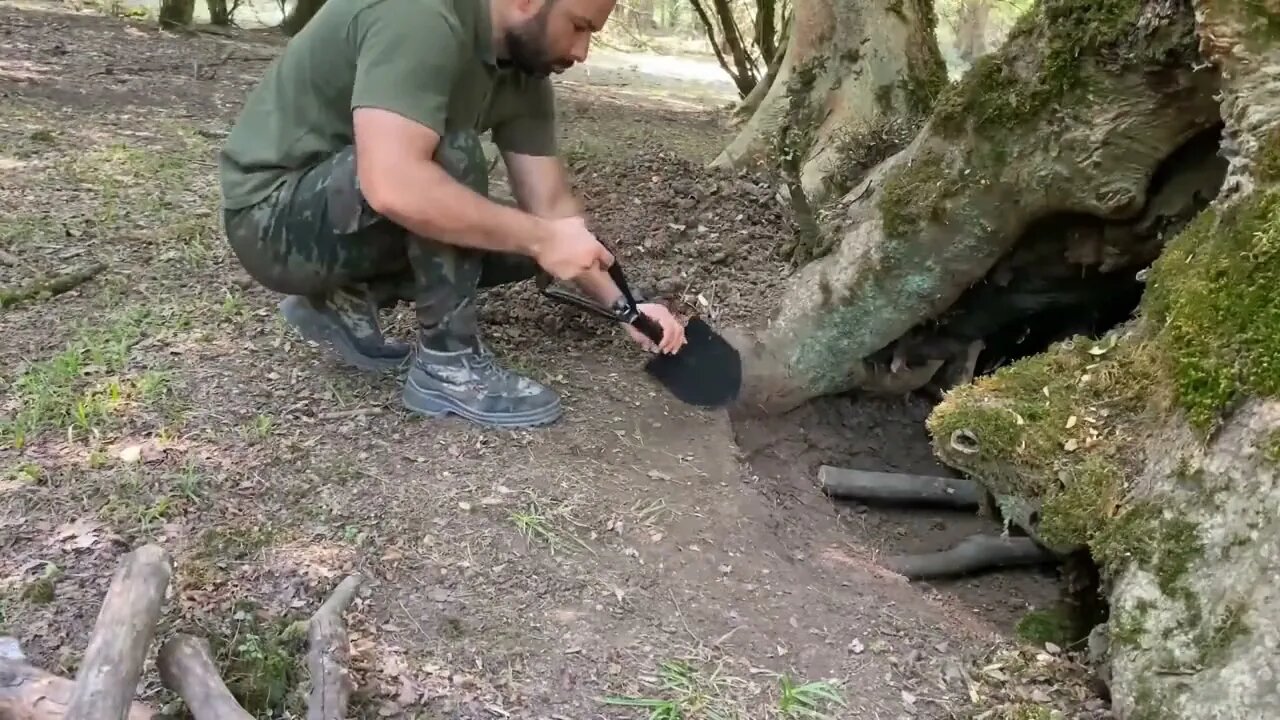 Build a warm shelter with a fireplace inside a 5,000 year old tree.18