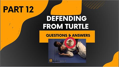 Defending from Turtle (Part 12 of the complete seminar) Questions & Answers