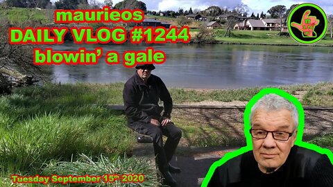 maurieos DAILY VLOG #1244 blowin' a gale