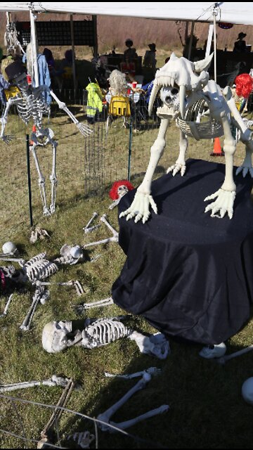 Holy Hill Skeletons goes with a bingo and 'Festiskull' theme for 23rd year of spooky displays