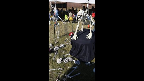 Holy Hill Skeletons goes with a bingo and 'Festiskull' theme for 23rd year of spooky displays