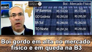 Boi gordo em alta no mercado físico descola da B3 em queda
