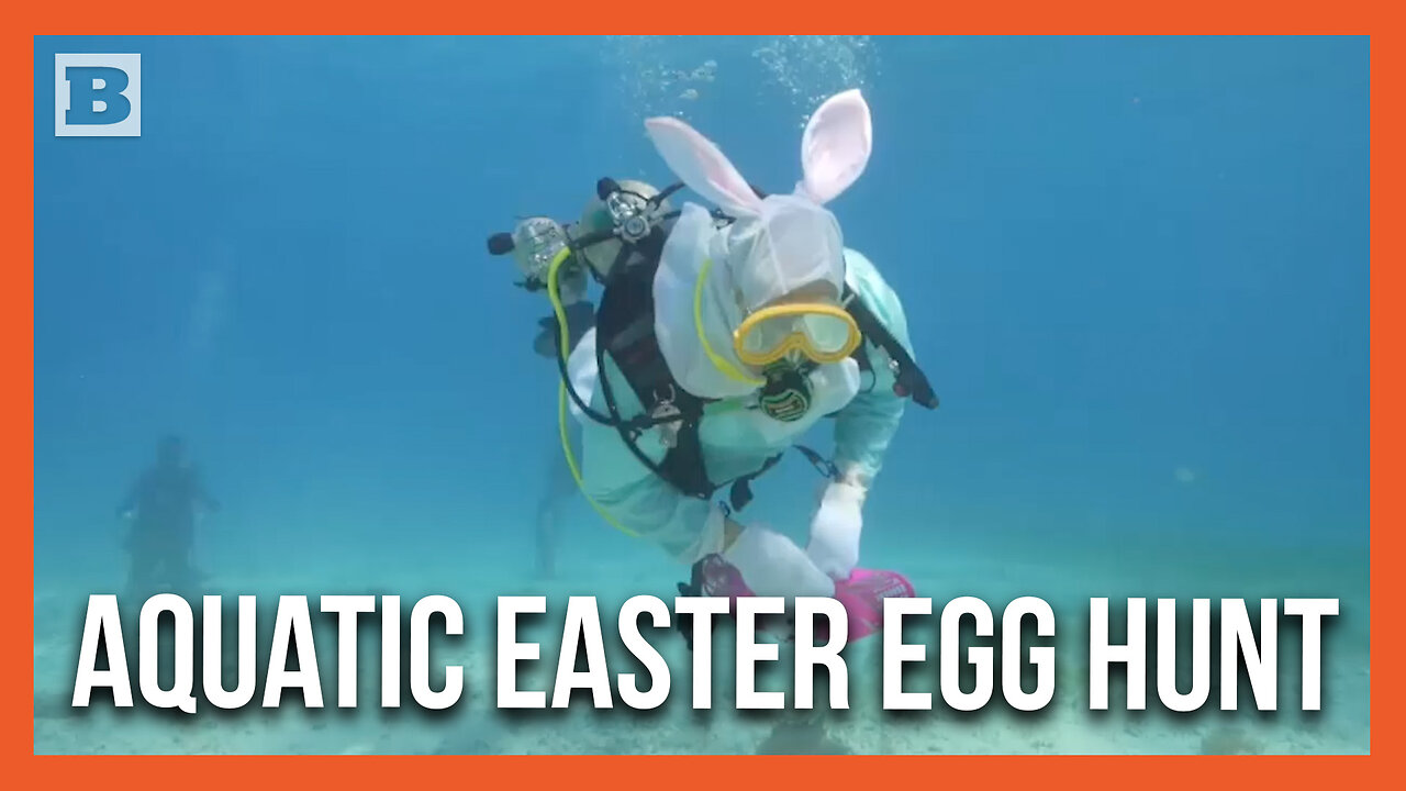 Wet Hare! Scuba-Diving Easter Bunny Leads Underwater Easter Egg Hunt