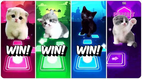 WEDNESDAY DANCE BLOODY MARY POW PATROL BABY CALM DOWN SHAKIRA WAKA WAKA CUTE CAT BELIEVER