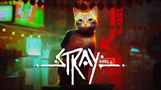 Stray O Início de Gameplay, em Português PT BR 4K 60FPS Sem Comentários