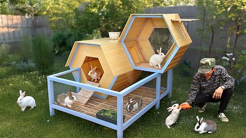 Discover secret to build 2 level rabbit house from discarded wood