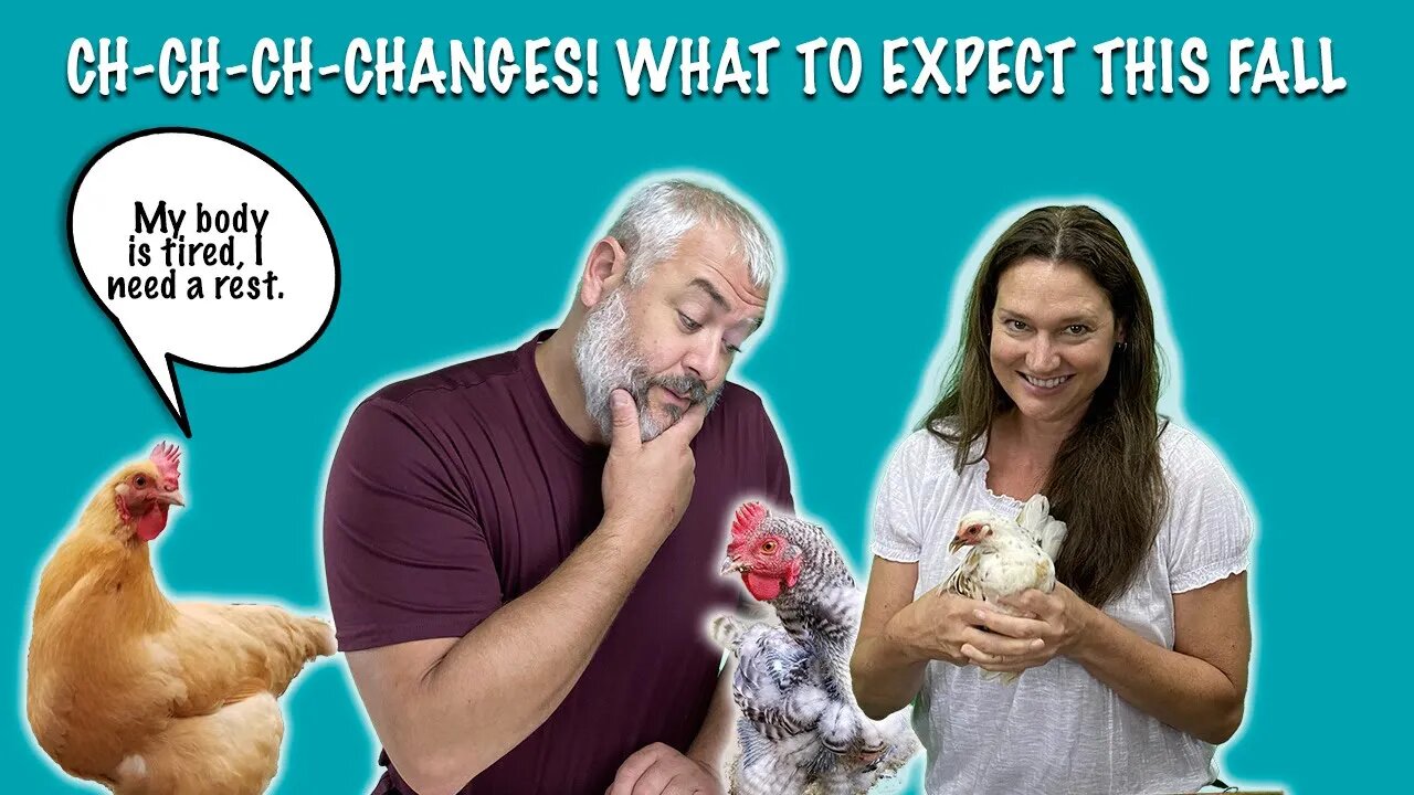 Video Chicken Live: Ch-Ch-Ch-Changes! What to Expect this Fall