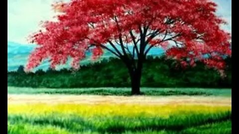 Dico Parente ora e confia play back