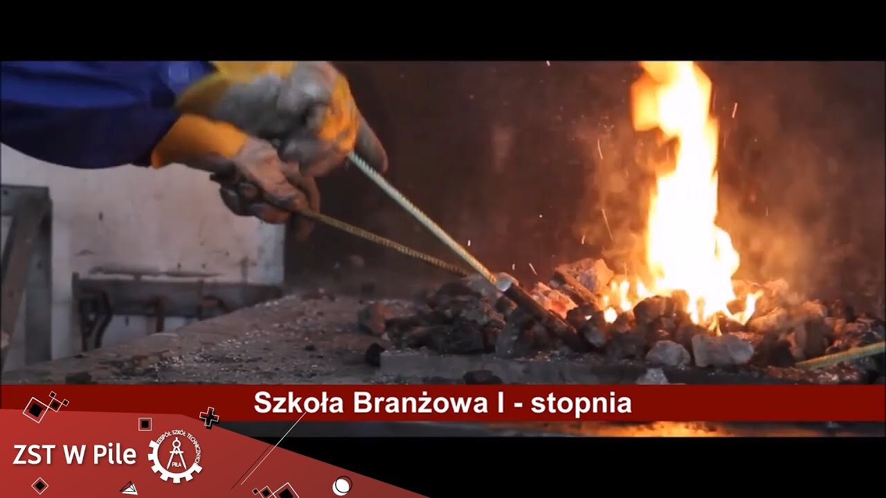 ZST w Pile Szkoa Branowa