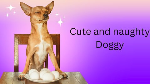 Funny and cute dogs